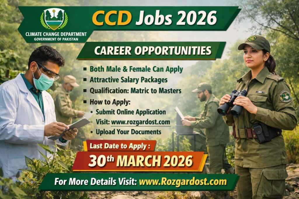 CCD jobs 2026